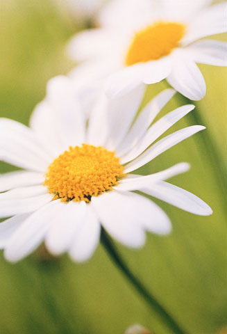 We Agree, Ellis Jones, Every Dollar Does Make A Difference