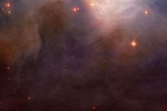 Give Back to Mother Earth