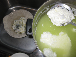 National Women’s Checkup Day