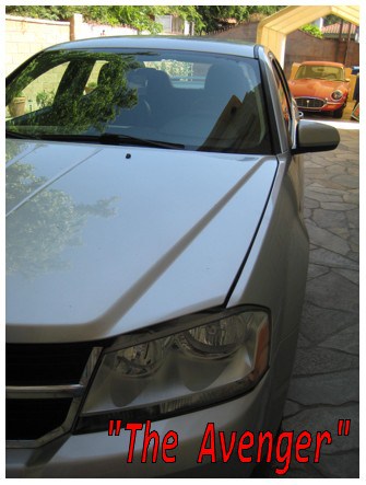 Who is Your Favorite Role Model or Idol?