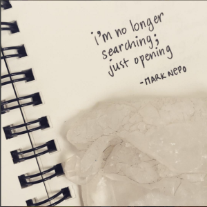 Photo Courtesy of elenabrower.com